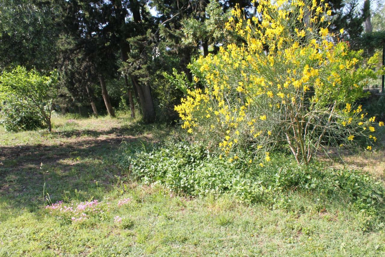 B&B Le Petit Frigouye Rochefort du Gard Bagian luar foto